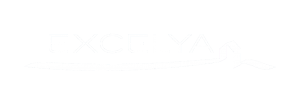Logo Excelya